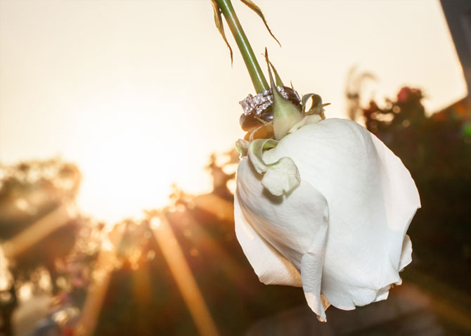 Marin & Travis's Wedding