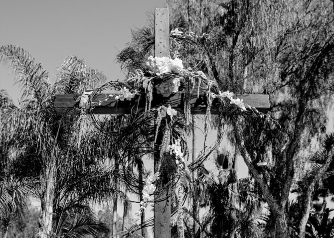 Marin & Travis's Wedding